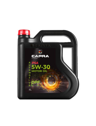 5W-30 Motoröl PSA DPF API SN/CF