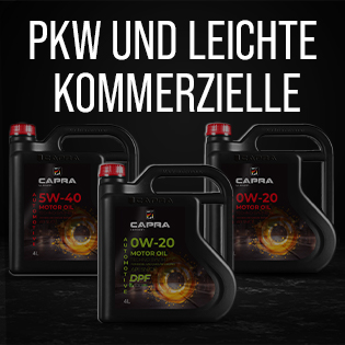 Pkw Und Leichte Kommerzielle
